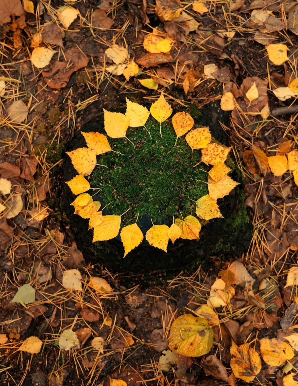 Herbsttipps Naturheilkunde