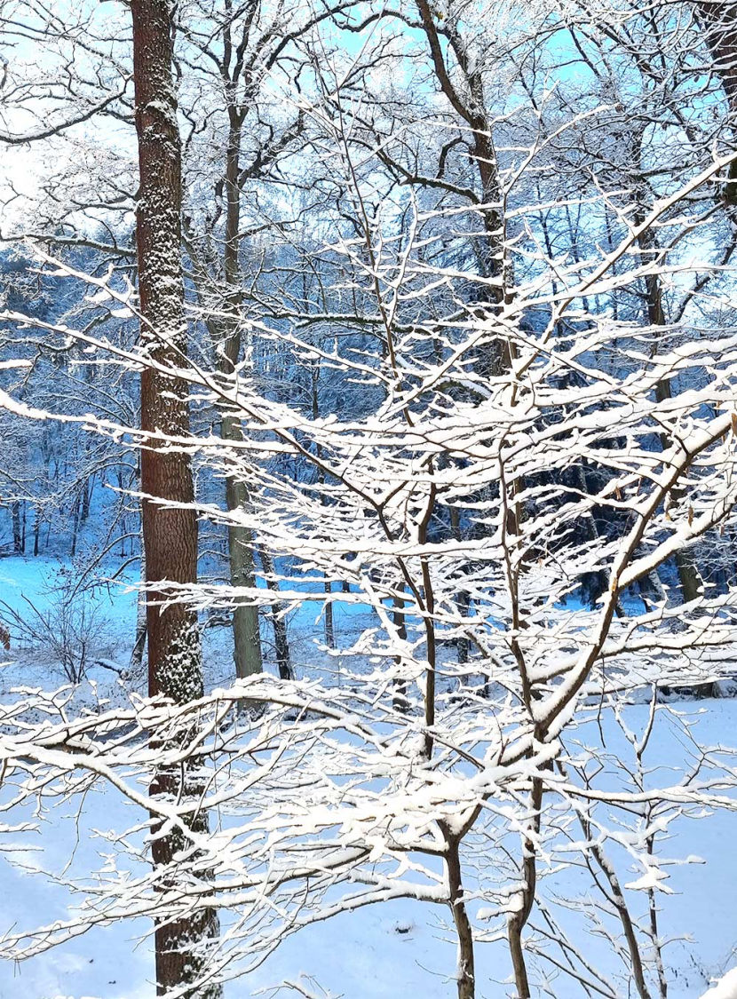 Wintertipps Naturheilkunde